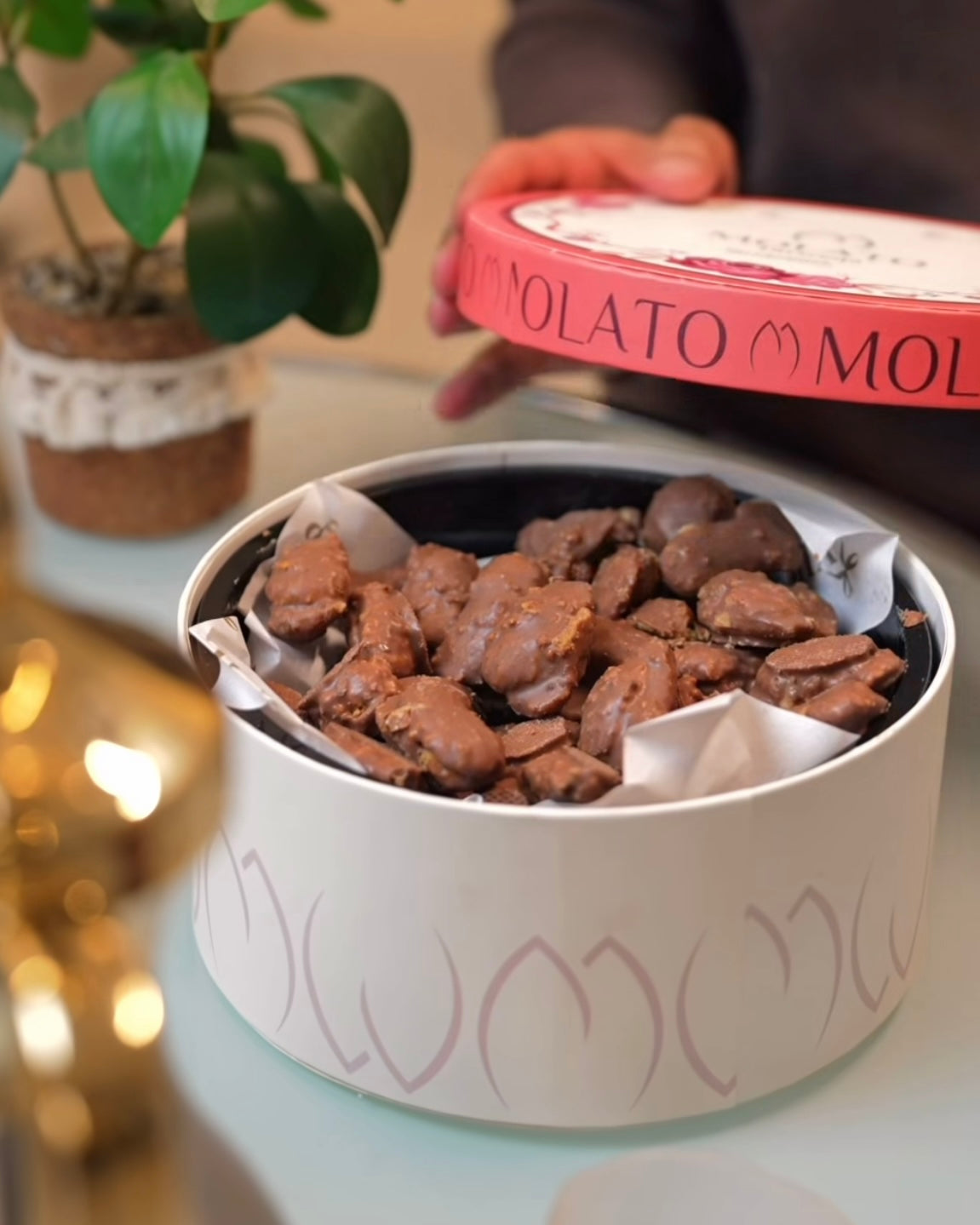 Molato Tarweqa Box